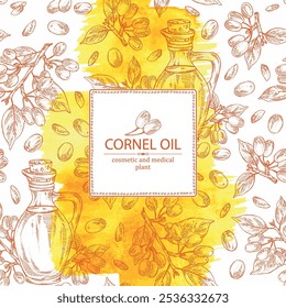 Watercolor background with cornel: plant and cornel berries and bottle of cornel oil. Vector hand drawn illustration