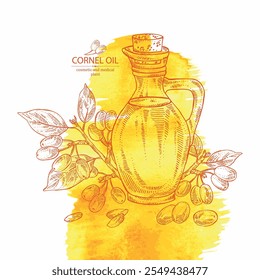 Watercolor background with cornel: plant and cornel berries and bottle of cornel oil. Vector hand drawn illustration