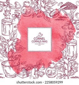 Watercolor background with cornel: plant, leaves and cornel berries. Cornus mas. Oil, soap and bath salt . Cosmetics and medical plant. Vector hand drawn illustration