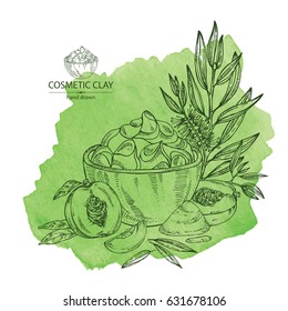 Watercolor background with cosmetic clay: cosmetic clay, tea tree and peach. Cosmetic and medical plant. hand drawn.