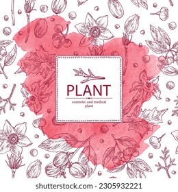 Watercolor background with  cosmetic and medical plants: datura stramonium, pulsatilla chinensis, croton tiglium, ardisia japonica. Vector hand drawn illustration