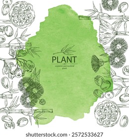 Watercolor background with cosmetic and medical plants: hawthorn, bamboo, lotus seed, elecampane flower. Vector hand drawn illustration