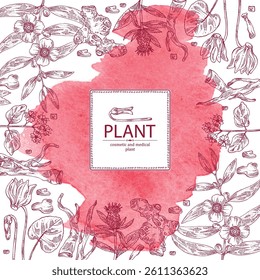 Watercolor background with cosmetic, parfumery and medical plants: mesua ferrea, cyclamen, boerhavia diffusa, punarnava, atraktylodes large. Vector hand drawn illustration.