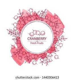 Watercolor background with cranberry: berries and cranberry plant.Vector hand drawn illustration.