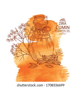 Fondo acuarela con comino y frasco de aceite esencial de comino. Planta cosmética, perfumería y médica. Ilustración dibujada a mano por el vector