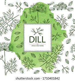 Watercolor background with dill: dill leaves and seeds. Herbs and spices. Vector hand drawn illustration.