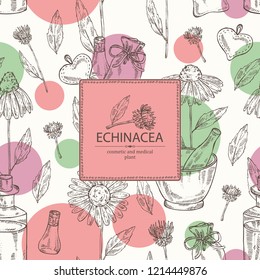 Watercolor background with echinacea: plant, leaves and echinacea flowers. Cosmetic and medical plant. Vector hand drawn illustration. 