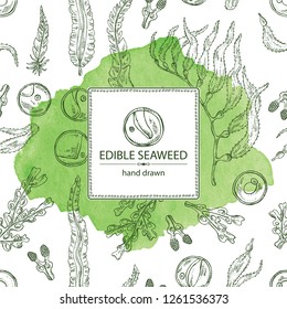 Watercolor background with edible seaweed: laminaria seaweed, macrocystis, chlorella seaweed and fucus. Brown algae. Vector hand drawn illustration