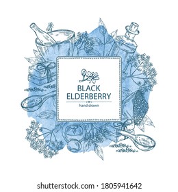 Watercolor background with elderberry black, elderberry black flowers, soap and bath salt . Cosmetic and medical plant. Vector hand drawn illustration. 
