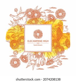 Watercolor background with elecampane high: elecampane flower and leaves.. Oil, soap and bath salt . Cosmetics and medical plant. Vector hand drawn illustration