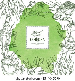 Watercolor background with ephedra: schisandra branch of chinese ephedra, berries, soap and bath salt . Cosmetic and medical plant. Vector hand drawn illustration