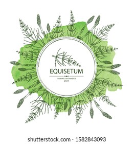 Watercolor background with equisetum: plant and escape equisetum. Horsetail. Cosmetics and medical plant. Vector hand drawn illustration.