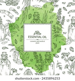Watercolor background with essential oils: basil essential oil, acorus calamus, hyssopus oil, azhgon seeds essential oil. Cosmetic, perfumery and medical plant. Vector hand drawn