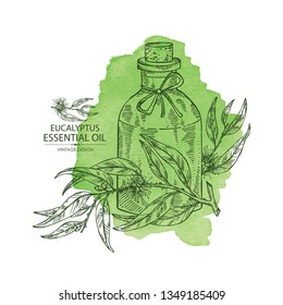 Watercolor background with eucalyptus and bottle of eucalyptus essential oil. Cosmetic, perfumery and medical plant. Vector hand drawn