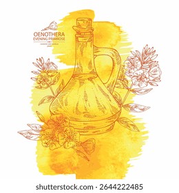 Fundo aquarela com primula da noite: planta de oenothera, folhas e flores primula da noite e garrafa de óleo de oenothera.  Oenothera. Ilustração desenhada à mão vetorial.