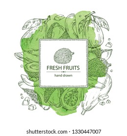 Watercolor background with exotic fruits: lichee fruit, avocado, guava and papaya. Vector hand drawn illustration.