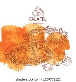 Watercolor background with falafel in pita with vegetables: falafel, pita, tomato, lettuce and olives. Vegetarian fast food. Vector hand drawn illustration