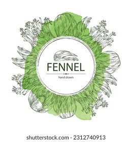 Watercolor background with fennel: full fennel, piece and fennel root. Foeniculum vulgare. Vector hand drawn illustration. 