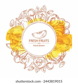 Watercolor background with fruits: apple fruit, apricot, japanese: medlar fruit and cherry. Vector hand drawn illustration.