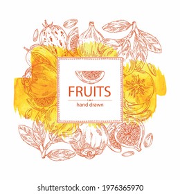 Watercolor background with fruits: figs fruits, persimmon, pepino fruit and medlar japanese. Vector hand drawn illustration.