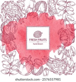 Watercolor background with fruits: mangosteen, pitaya, dragon fruit, lichee, date fruit. Vector hand drawn illustration.