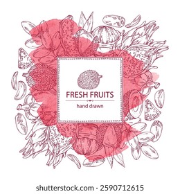 Watercolor background with fruits: mangosteen, pitaya, dragon fruit, lichee, date fruit. Vector hand drawn illustration.