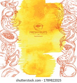 Watercolor background with fruits: melon, watermelon, peach and apricot. Vector hand drawn illustration