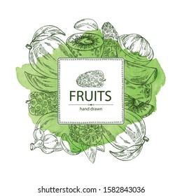 Watercolor background with fruits: noni frui, kiwi, mango and mangosteen. Vector hand drawn illustration