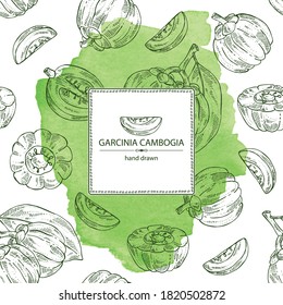 Watercolor background with garcinia cambogia: garcinia fruts and leaves. Super food. Vector hand drawn illustration.
