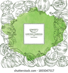 Watercolor background with garcinia cambogia: garcinia fruts and leaves. Super food. Vector hand drawn illustration.