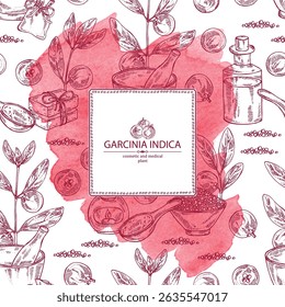 Fundo aquarela com garcinia indica: garcinia indica planta, folhas e garcinia indica frutos. Vrikshamla. Óleo, sabão e sal de banho . Cosméticos e planta médica. Ilustração desenhada à mão vetorial