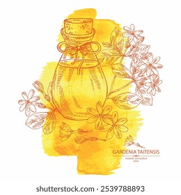 Watercolor background with gardenia taitensis: tiare plant, leaves and gardenia taitensis flowers and bottle of gardenia essential oil. Gardenia tahitian. Cosmetic, perfumery, plant. Vector hand drawn