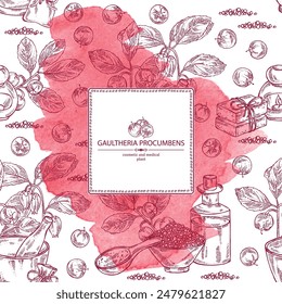 Watercolor background with  gaultheria procumbens: gaultheria procumbens plant, flowers and gaultheria procumbens berries. Oil, soap and bath salt . Cosmetics and medical plant. Vector hand drawn