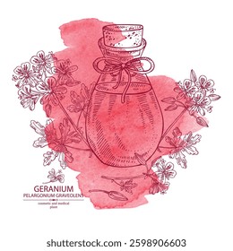 Watercolor background with geranium: geranium plant, leaves, geranium flowers and bottle of geranium essential oil. Pelargonium graveolens. Cosmetic, perfumery, plant. Vector hand drawn