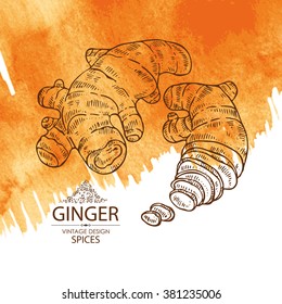 Watercolor background with ginger , hand drawn
