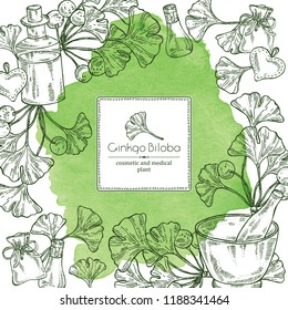 Watercolor background with ginkgo: leaves and selling, oil . Cosmetic and medical plant. Vector hand drawn illustration. 
