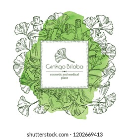 Watercolor background with ginkgo: leaves and selling, oil . Cosmetic and medical plant. Vector hand drawn illustration. 