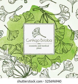 Watercolor background with ginkgo leaves and selling. Cosmetics and medical plant. hand drawn.