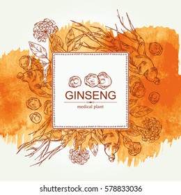 Watercolor background with ginseng. Medical plant. hand drawn