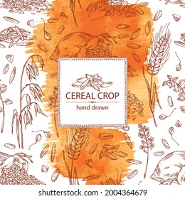 Watercolor background with grains: oats, rice, buckwheat groats and wheat grain. Vector hand drawn illustration