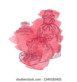 Watercolor background with grapefruit and bottle of grapefruit essential oil. Cosmetic, perfumery and medical plant. Vector hand drawn
