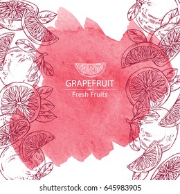 Watercolor background with grapefruit and grapefruit slice. Vector hand drawn illustration