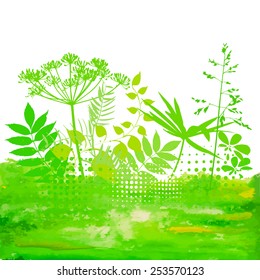 watercolor background with grass and flowers. Vector 