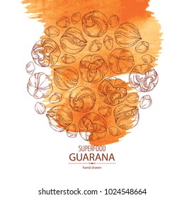 Watercolor background with guarana. Super food. Vector hand drawn illustration.