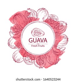 Watercolor background with guava and guava slice. Vector hand drawn illustration.