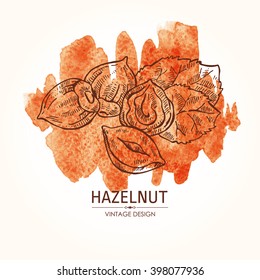 Watercolor background with hazelnut. Hand drawn