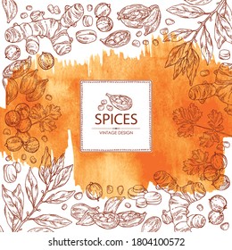 Watercolor background with hearbs and spices: turmeric root, bay leaf, cardamom seeds and coriander sseds. Vector hand drawn illustration.