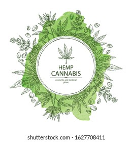 Watercolor background with hemp: cannabis seeds and plant. Superfood. Cosmetic and medical plant. Vector hand drawn illustration