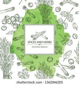 Watercolor background with herb and spices: tarragon, coriander, cinnamon and marjoram . Vector hand drawn illustration.