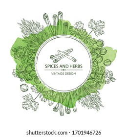 Watercolor background with herb and spices: tarragon, coriander, cinnamon and marjoram . Vector hand drawn illustration. 